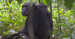 13038982174_b973643a6d_c