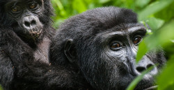 8916364404_7dd4e2e183_c