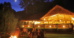 lodges in Bwindi