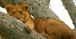 2527573912_32c66a0dc1_z