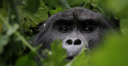 8914003536_7d3f18ba91_c