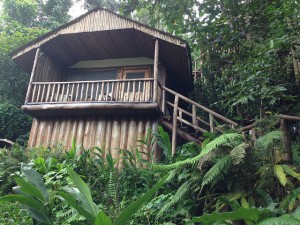 Buhoma Lodge (3) 