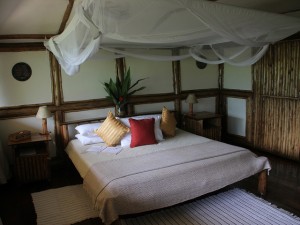 Buhoma Lodge (4) 