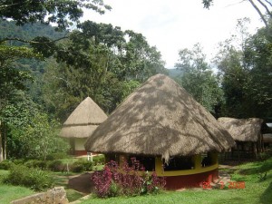 Buhoma community rest camp (1) 