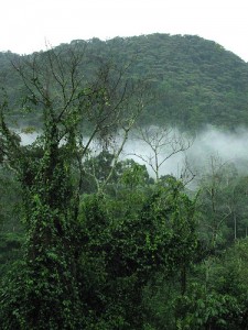 Buhoma community rest camp (3) 