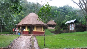 Buhoma community rest camp (6) 
