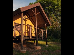 Chimps Nest Cottage (1) 