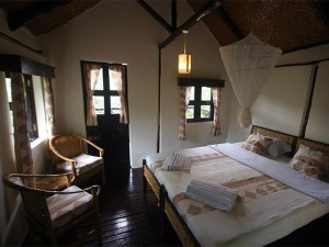 Chimps Nest Cottage (2) 