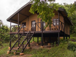 Chimps Nest Cottage (4) 