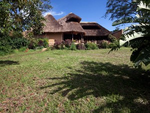 Chimps Nest Cottage (6) 