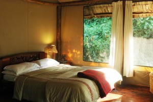 Gorilla Forest Camp (2) 