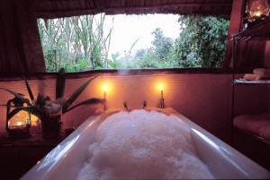 Gorilla Forest Camp (3) 