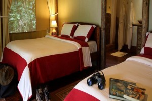 Gorilla Forest Camp (4) 