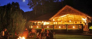 Gorilla Forest Camp (5) 