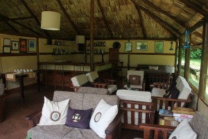 Gorilla Forest Camp (6) 