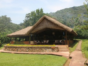Gorilla Forest Camp (7) 