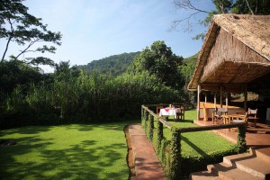 Gorilla Forest Camp (8) 