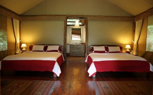 Gorilla Forest Camp (9) 