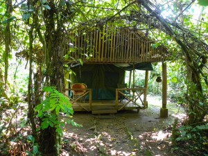 Kibale Forest Camp (10)  