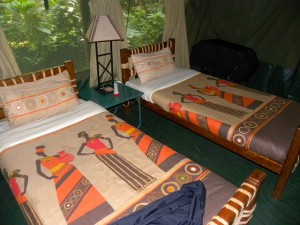 Kibale Forest Camp (6)  