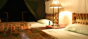 Kibale Forest Camp (8)  