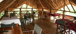 Kibale Forest Camp (9)  