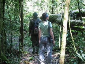Kibale Forest National Park (6) 