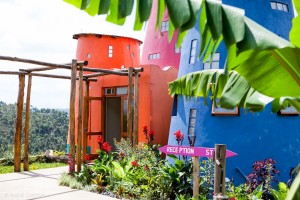 Lake Mutanda Chameleon Hill (1) 