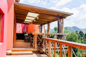 Lake Mutanda Chameleon Hill (3) 