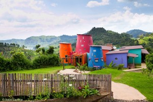 Lake Mutanda Chameleon Hill (8) 