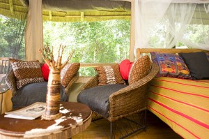 Primate Lodge in Kibale (1) 