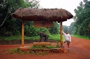 Primate Lodge in Kibale (2) 