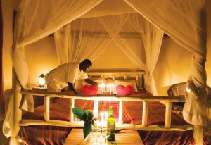 Primate Lodge in Kibale (3) 