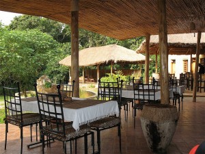 Primate Lodge in Kibale (8) 