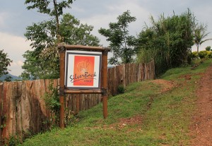 Silver Back Lodge Bwind (1) 