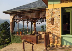 Silver Back Lodge Bwind (5) 