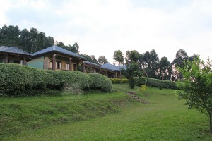 Silver Back Lodge Bwind (6) 