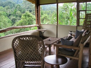 Volcanoes Bwindi Lodge (3) 