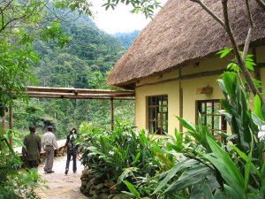 Volcanoes Bwindi Lodge (5) 